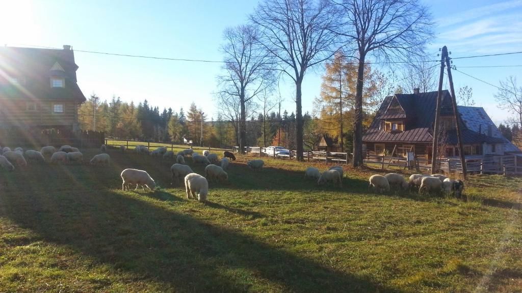 Дома для отпуска Pompelówka - chata na Głubałówce Закопане-126